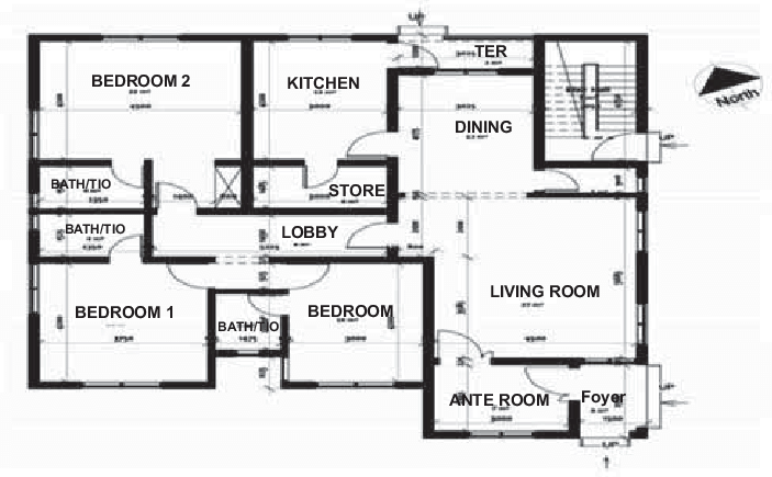 Unit Plan